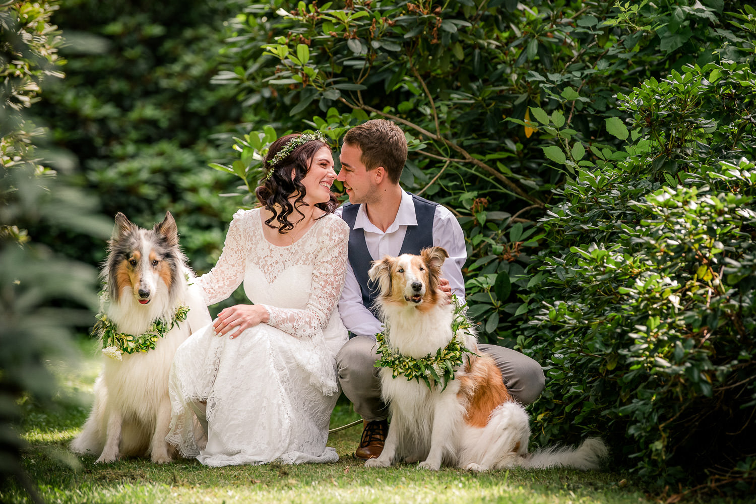 brautpaar-mit-hunden