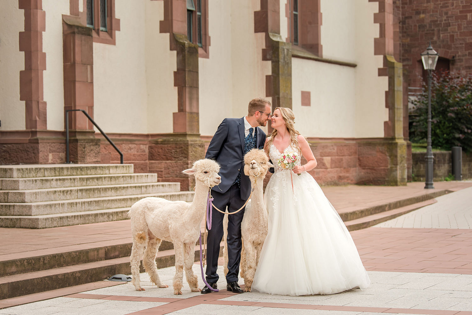 Brautpaar mit Alpakas vor der Kirche bei Hochzeitsfotograf Karlsruhe