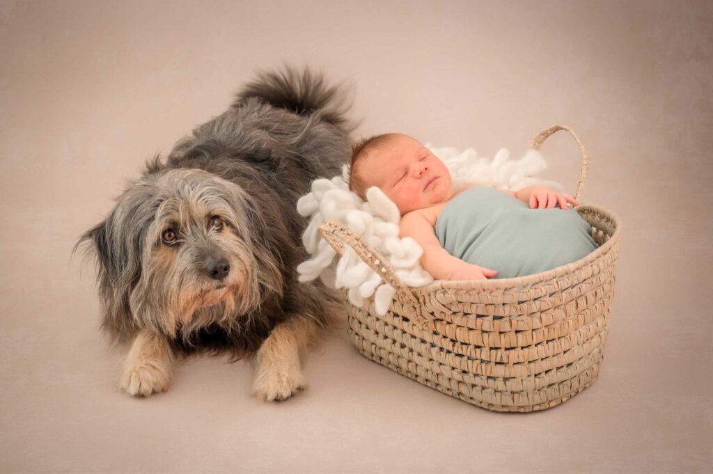 baby_fotograf_karlsruhe